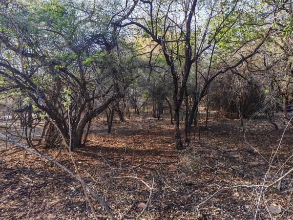 2 070 m² Land