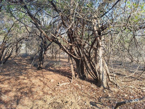 2 070 m² Land
