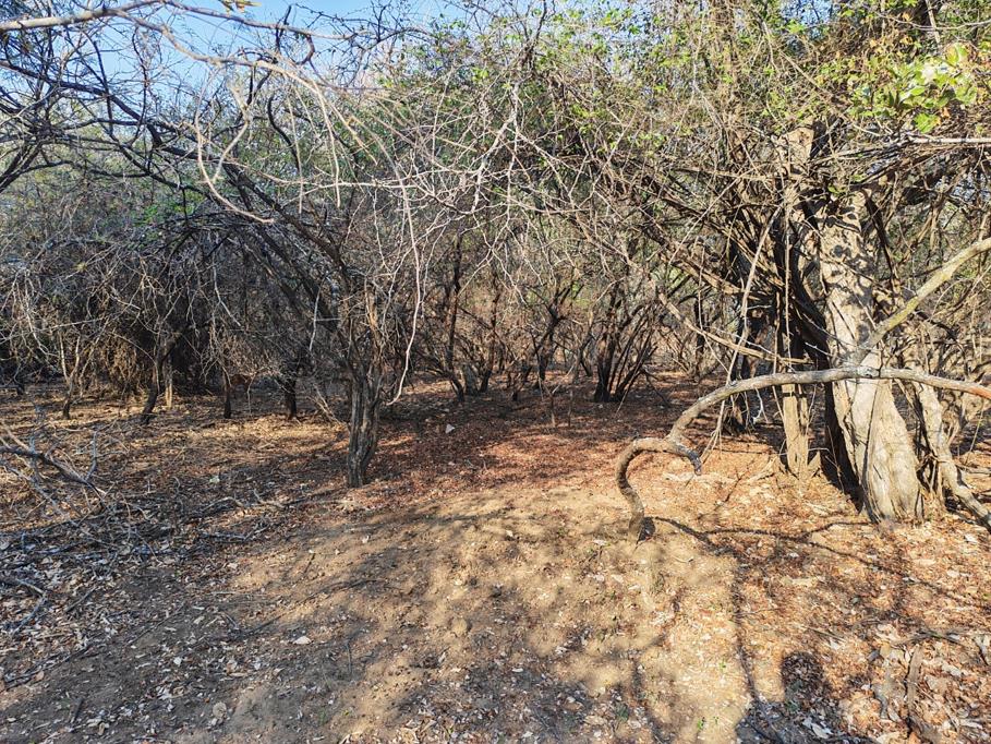 2 070 m² Land