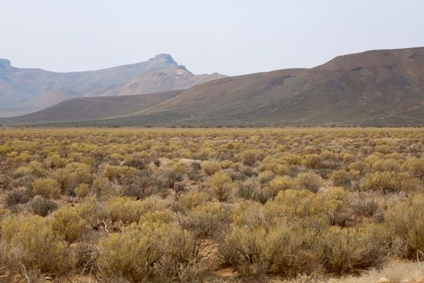 4 449 ha Farm