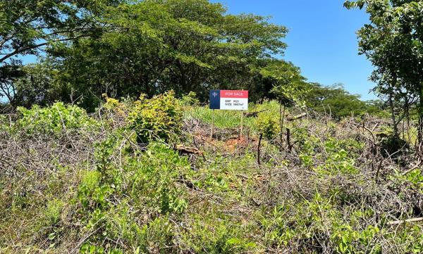1 867 m² Land