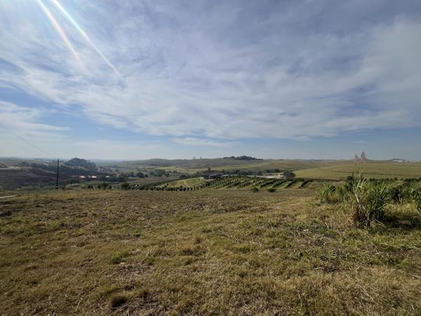 20 ha Land