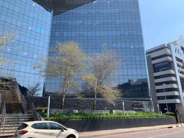 559 m² Office Space
