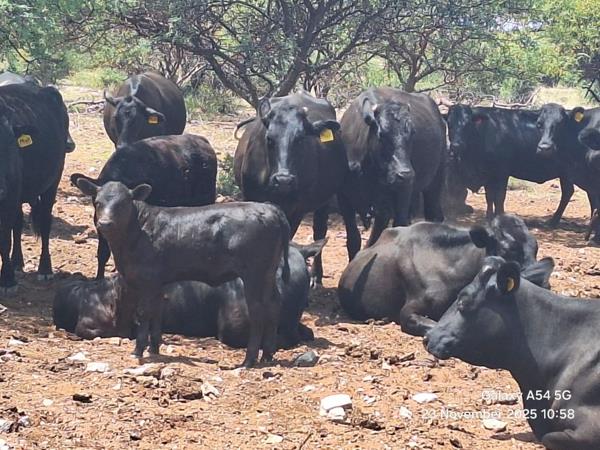 3 577.9 ha Farm
