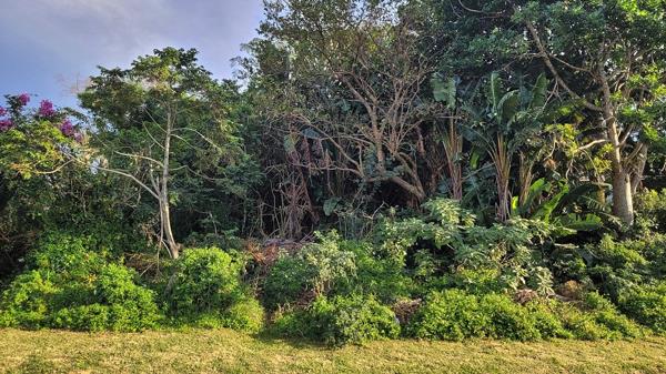 1 263 m² Land