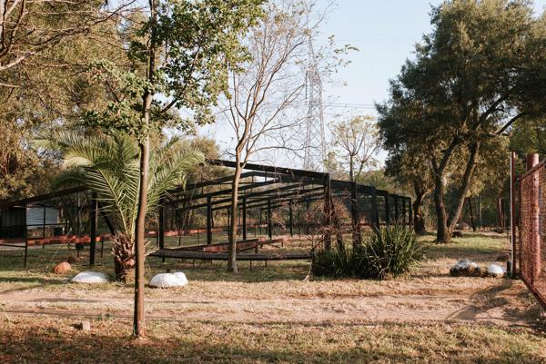 18 ha Smallholding