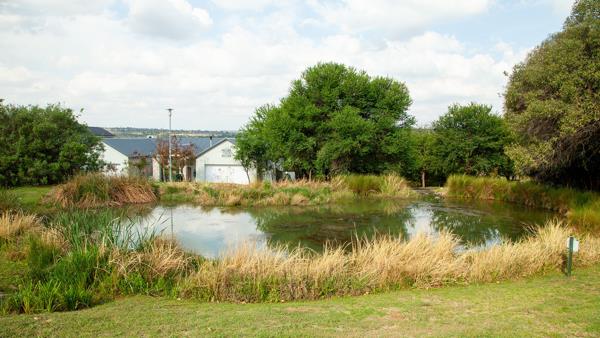643 m² Land