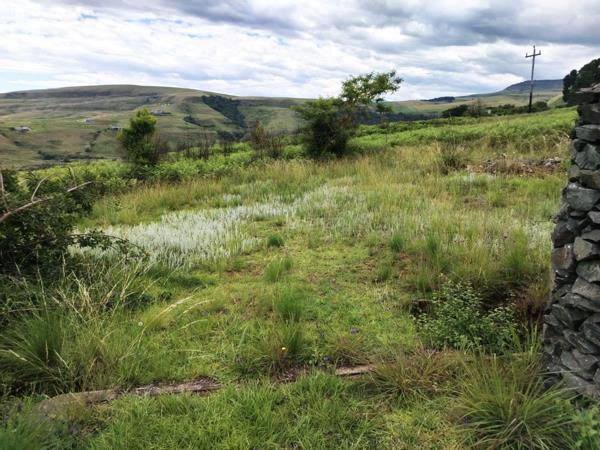 23.8 ha Land