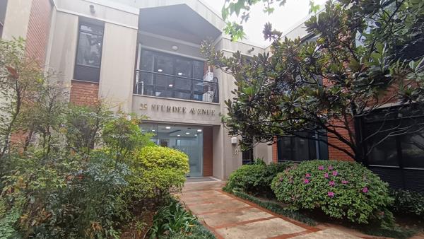 141 m² Office Space