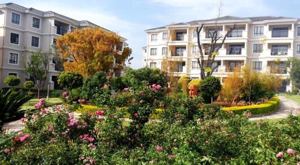 2 Bedroom Apartment