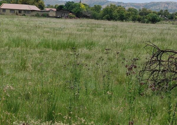 8 500 m² Land