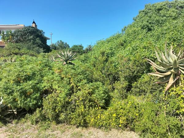 738 m² Land