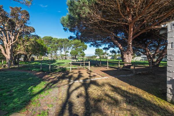 4 000 m² Land