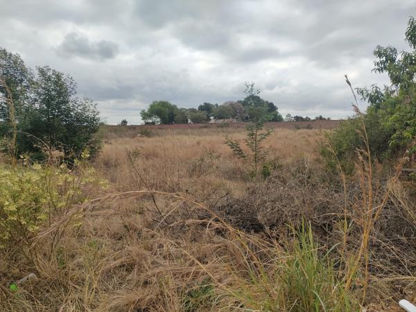 1.3 ha Land