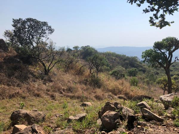 5.8 ha Land
