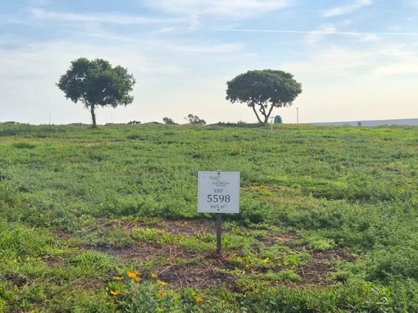 665 m² Land
