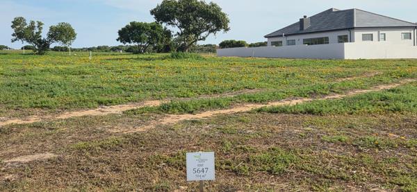 704 m² Land