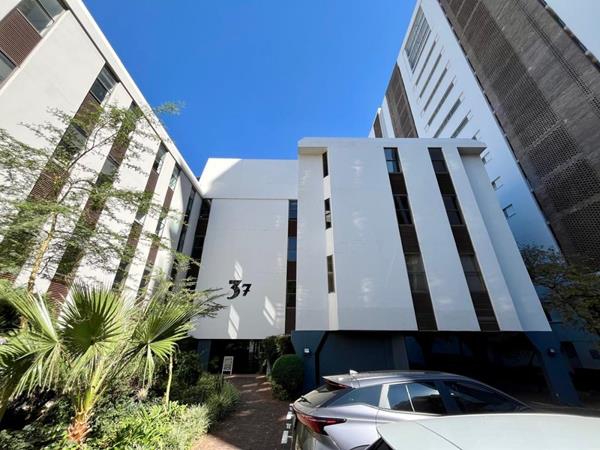84 m² Office Space