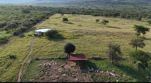 642 ha Farm