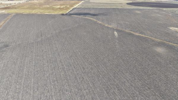 90 ha Farm