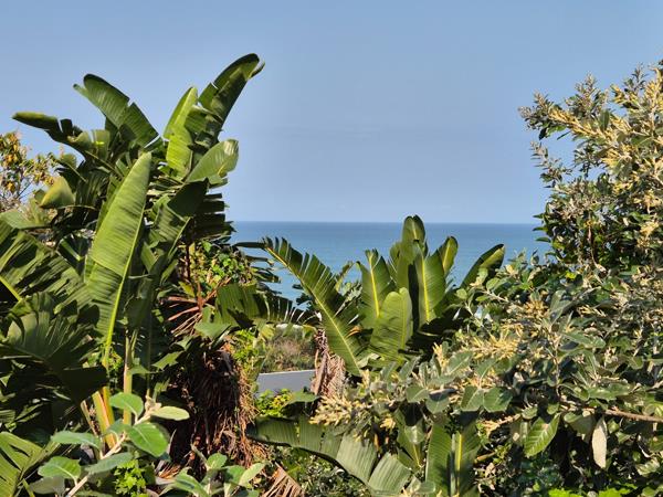 1 657 m² Land