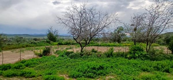 4 000 m² Land