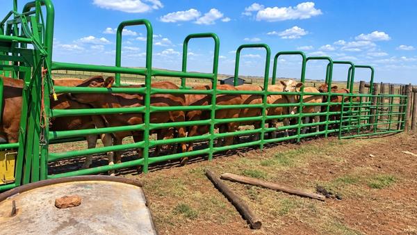 599.6 ha Farm
