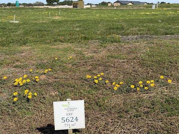 731 m² Land