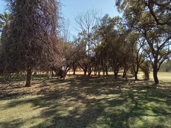 3.5 ha Farm