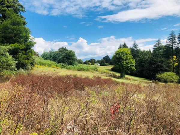 4 956 m² Land