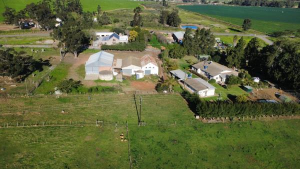 5.1 ha Smallholding