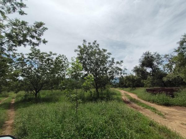 96 ha Farm