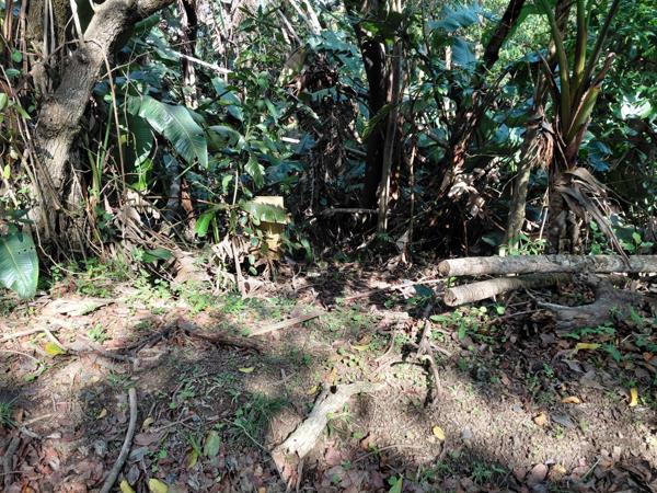 1 028 m² Land