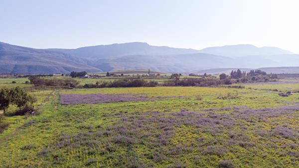 74.7 ha Farm