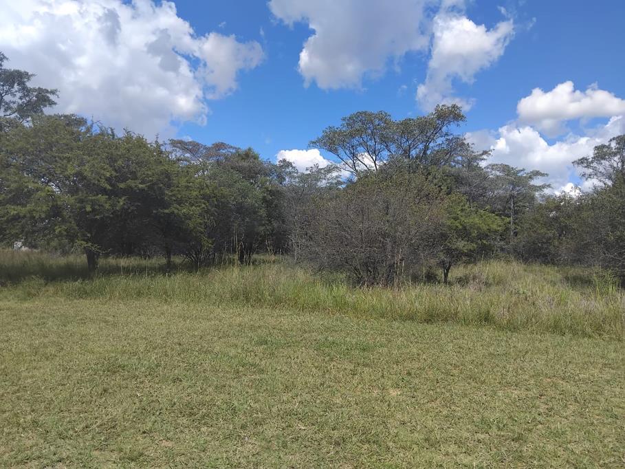 2 038 m² Land