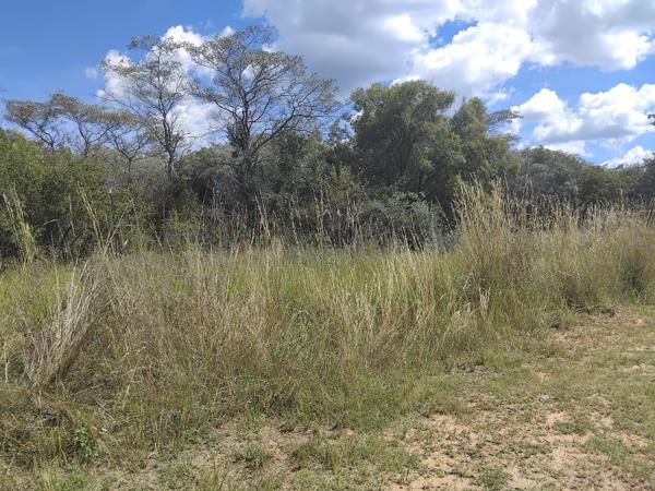 2 038 m² Land