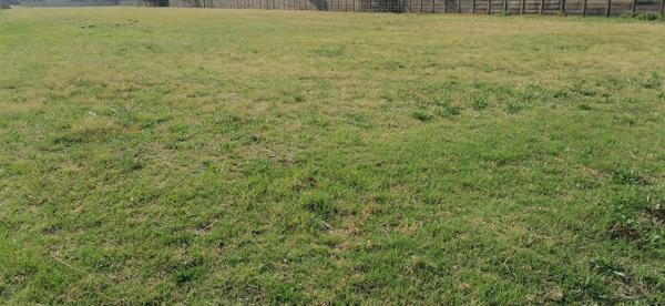4 199 m² Land