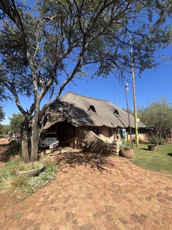 3 ha Commercial Farm