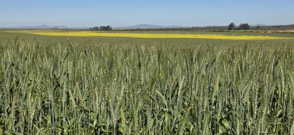 871.6 ha Farm