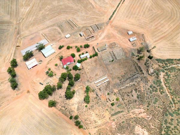 329 m² Farm