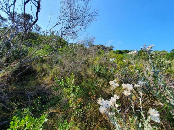1 320 m² Land