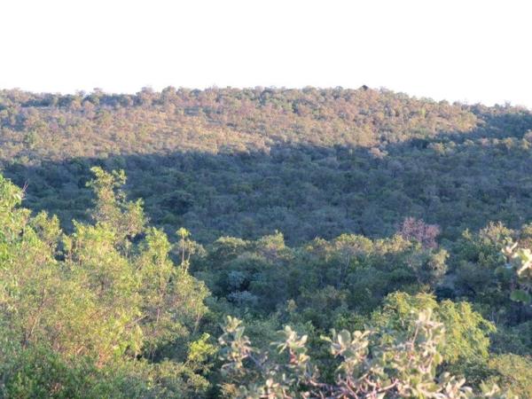 2 500 m² Land
