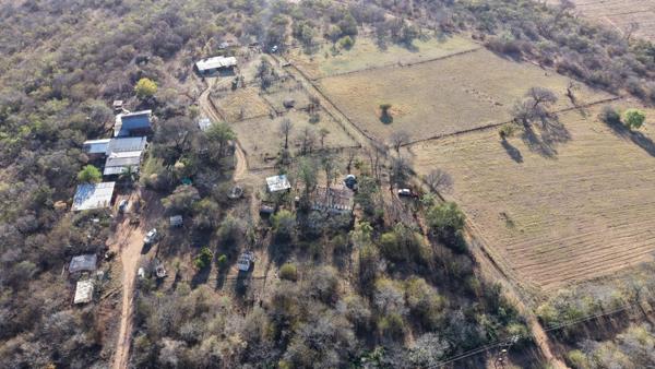 21 ha Smallholding