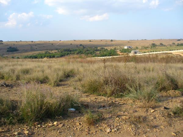 9 036 m² Land