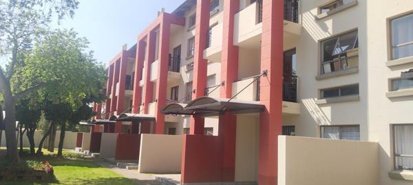 Bachelor apartment