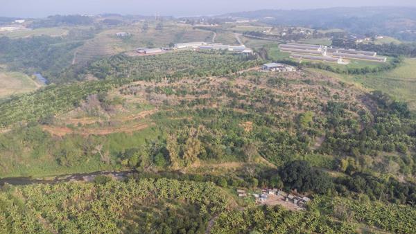 40 ha Farm