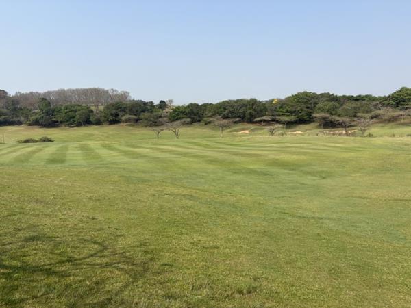 806 m² Land