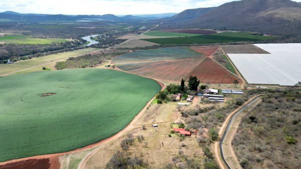 168.8 ha Farm with House