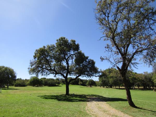908 m² Land