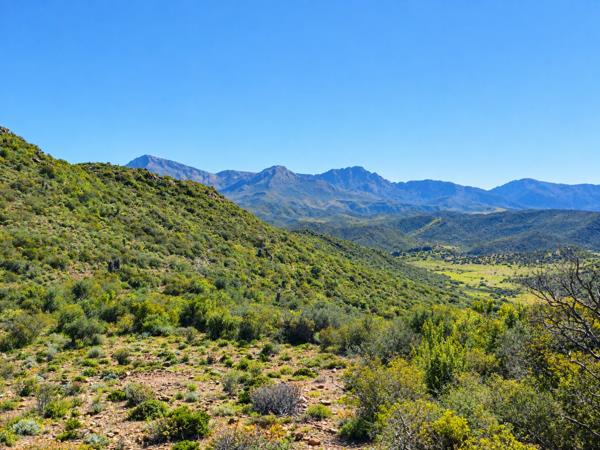 221 ha Farm